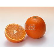 Апельсин мандарин импорт.