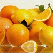 Апельсины фрукты цитрусовые фрукты плодоовощные культуры продукты продукты питания экспорт Украина купить продажа продам опт фото
