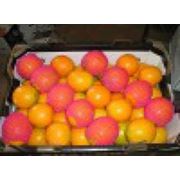 ASAP: Апельсины 7,10 грн вся Украина!!!!!!!!!!! фото