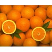 Апельсины турецкие апельсины Испании Италии Греции Израиля