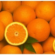 Апельсины в Украине цена фото оптом. фото