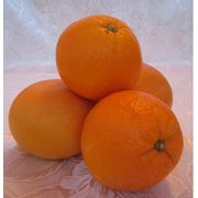 Апельсины (оптовая продажа) фото