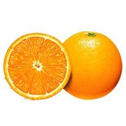 апельсины продажа фотография