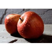 Яблоки натуральные яблоки яблоки свежие свежие фрукты фрукты продукты питания продажа продам закупка купить экспорт Украина фотография