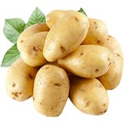 картофель купить картофель сортовой картофель оптом