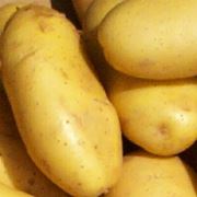 Картофель купить в Украине