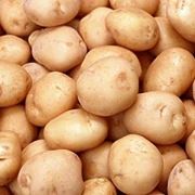 Картофель свежий картофель сортовой картофель свежие овощи овощи продукты питания плодоовощные культуры купить продам продажа экспорт Украина фото