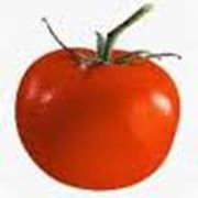 Помидоры томаты свежие