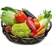 Закупка овощей (морковь капуста свекла) фотография