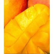 Манго (Mangifera indica) манго купить оптом Украина