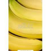 Бананы купить оптом Украина Донецк фото
