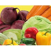 Овощи оптом от ТП "Меловские овощи" по доступным ценам с Луганской обл.