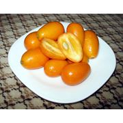 Кумкват (японский апельсин) фото
