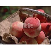 Персики оптом в Украине Купить Цена Фото