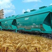 Перевозки зерна внутренние в вагонах-зерновозах по Украине