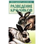 Книги о кроликах. Разведение кроликов. фото