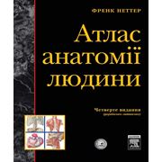 Атлас Анатомии Человека Фрэнк Неттер (4-те видання)