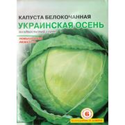 Семена капуста белокочанная украинская осень семена семена капусты оптом купить семена оптом.