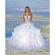 Прокат платьев свадебных. фотография