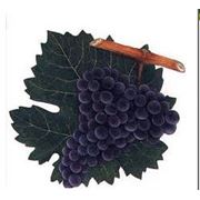Саженцы винограда винных сортов Cabernet Sauvignon