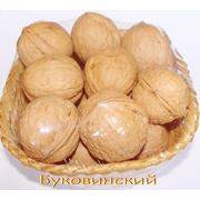 Саженцы грецкого ореха привитые Сорт Буковинский фото