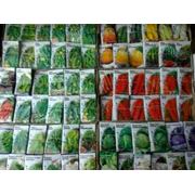 Пакетированные семена овощей продажа мелкий опт розница в Одессе от компании Науменко фото