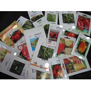 Профессиональные семена овощей и цветов от ведущих изготовителей (Нунемс Сименис Тиеза Мэй и др.) фото