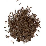Семена тмина Тмин обыкновенный фото