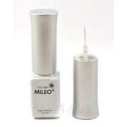 004 Серебряная с блестками Гель - Краска “MlLEO“, с тонкой кисточкой, 6 мл. фотография