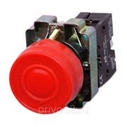 Кнопка XB2-BP42, красная, обрезин., 1НЗ контакт фото