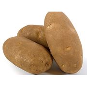 Семена картофеля элитные высокопродуктивных сортов