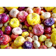 Луковицы цветов - Гладиолусы. фото