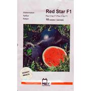 Арбуз Red Star F1 10 семян (Nunhems)