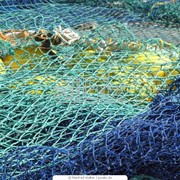 Сети рыболовные фото