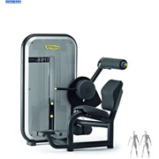 Спортивные тренажеры для дома, профессиональные,велотренажер Technogym Lower Back