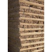 Приштамбовый колышек бамбуковый фото