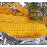 Семена кукурузы КАДР 267 МВ