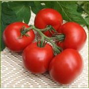 Семена. Семена томатов индетерминантных. Купить семена. фото