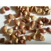 Семена чеснока купить оптом Крым Херсон фото