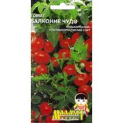 Семена томатов Томат Балконное чудо фото