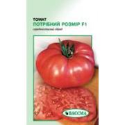 Семена томатов помидоров фото