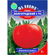 Семена томатов помидоров Волгоградский 5/95 фото