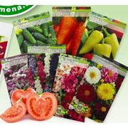 Семена купить семена пакетированные семена овощей семена для овощеводства фото