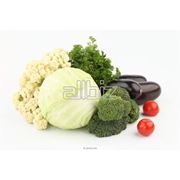 Семена овощей посадочный материал продам Одесса.