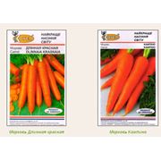 Семена моркови купить в Украине Киеве цена фото