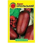Семена свеклы Опольськая фото
