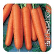 семена Морковь Карнавал морковь Ассоль морковь Кадриль морковь Мазурка.