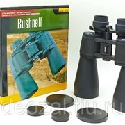 Бинокль Bushnell 10-90х80 фото