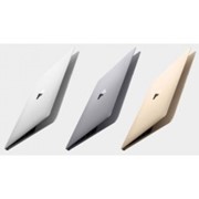 Ноутбук Apple MacBook 12 дюймов Space Gray MJY42UA/A фото