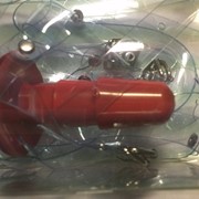 Трусики прозрачные фото